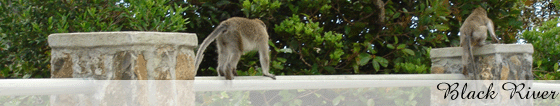 mauritius accommodation guide