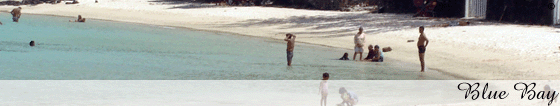 mauritius accommodation guide