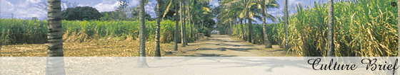 Mauritius Economy