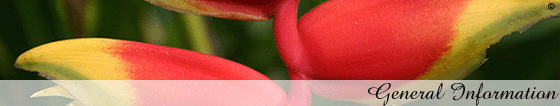 mauritius accommodation guide