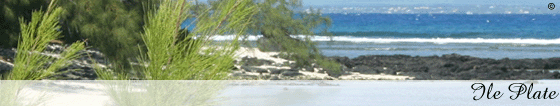 mauritius accommodation guide